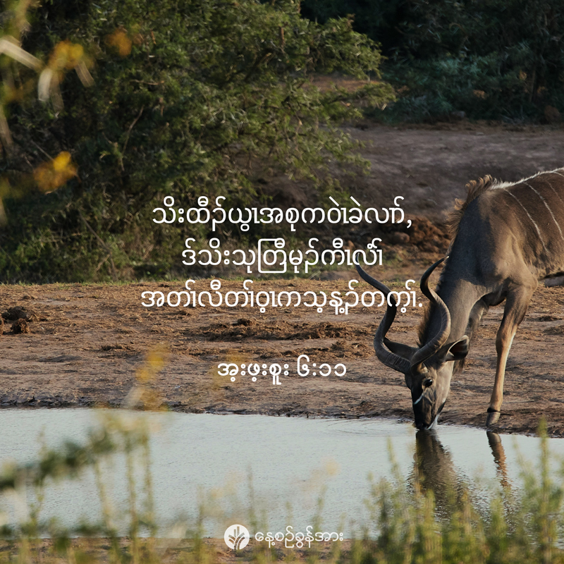 share_odb_2026-01-29-ky