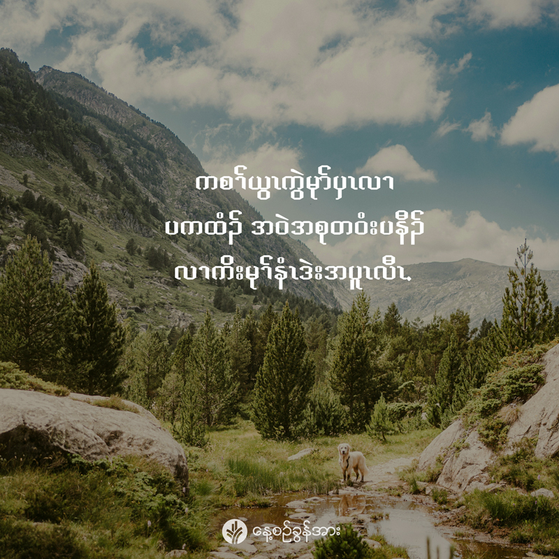 share_odb_2026-01-30-ky