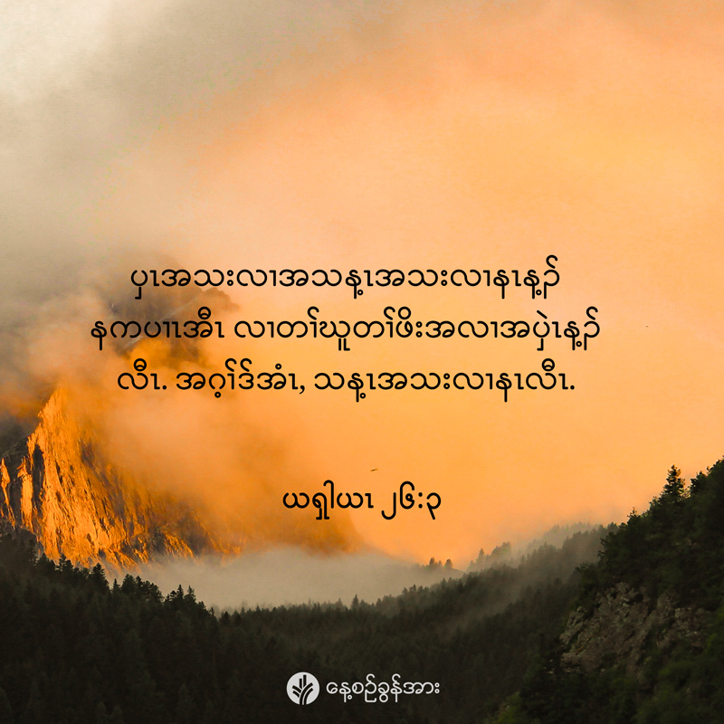 share_odb_2026-01-31-ky