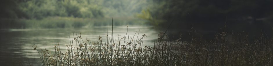 တၢ်မုာ်တၢ်ပၢၤလၢ ကစၢ်ယ့ၣ်ရှူးဟ့ၣ်ပှၤ တၢ်မုာ်တၢ်ပၢၤလၢ ကစၢ်ယ့ၣ်ရှူးဟ့ၣ်ပှၤ