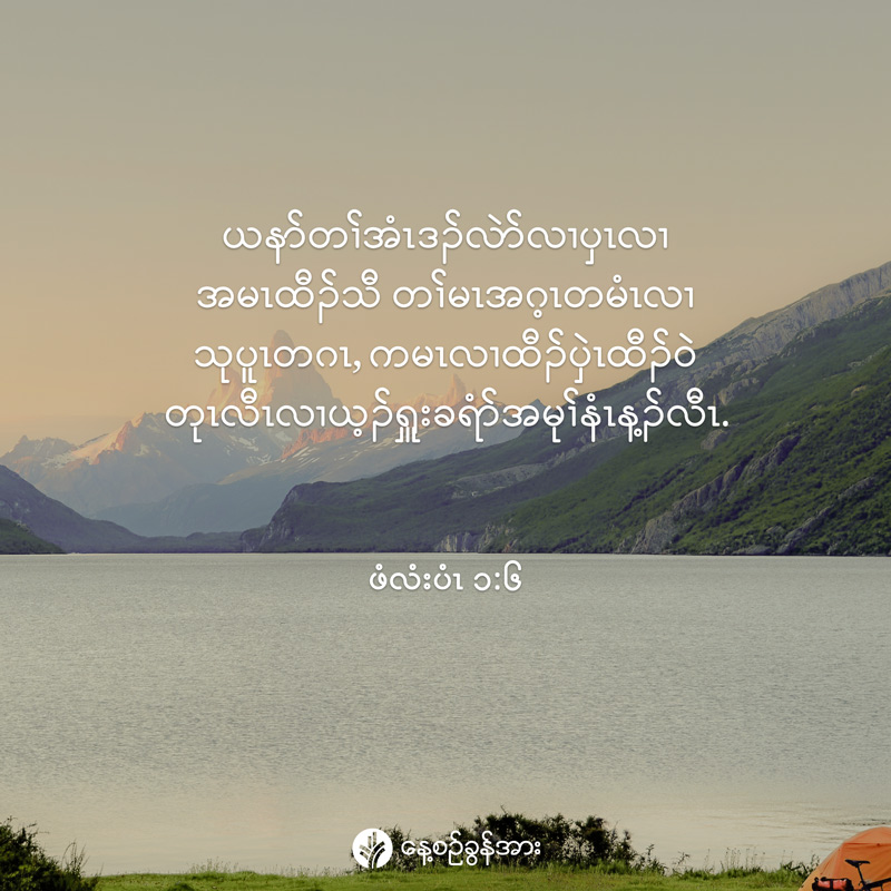 share_odb_2026-02-01-ky