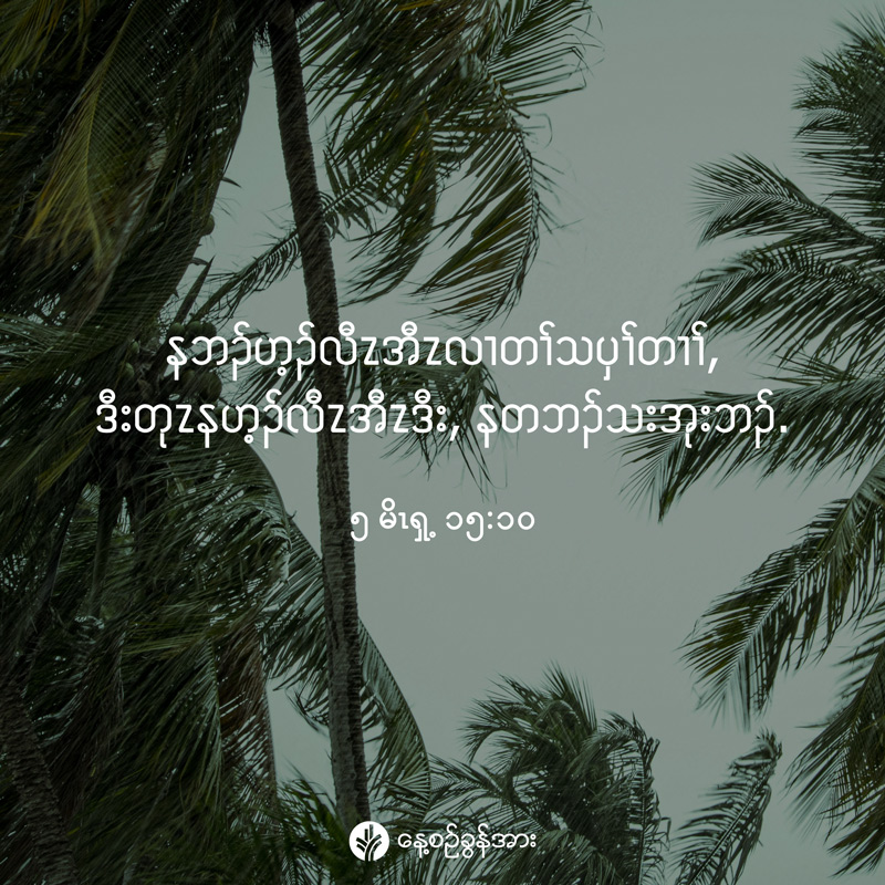 share_odb_2026-02-08-ky