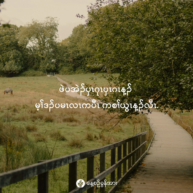 share_odb_2026-02-11-ky