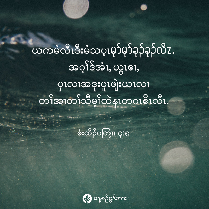 share_odb_2026-02-12-ky