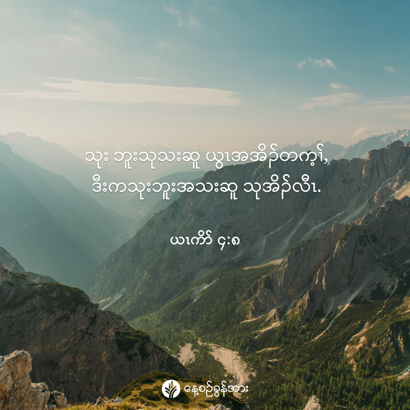 share_odb_2026-02-13-ky