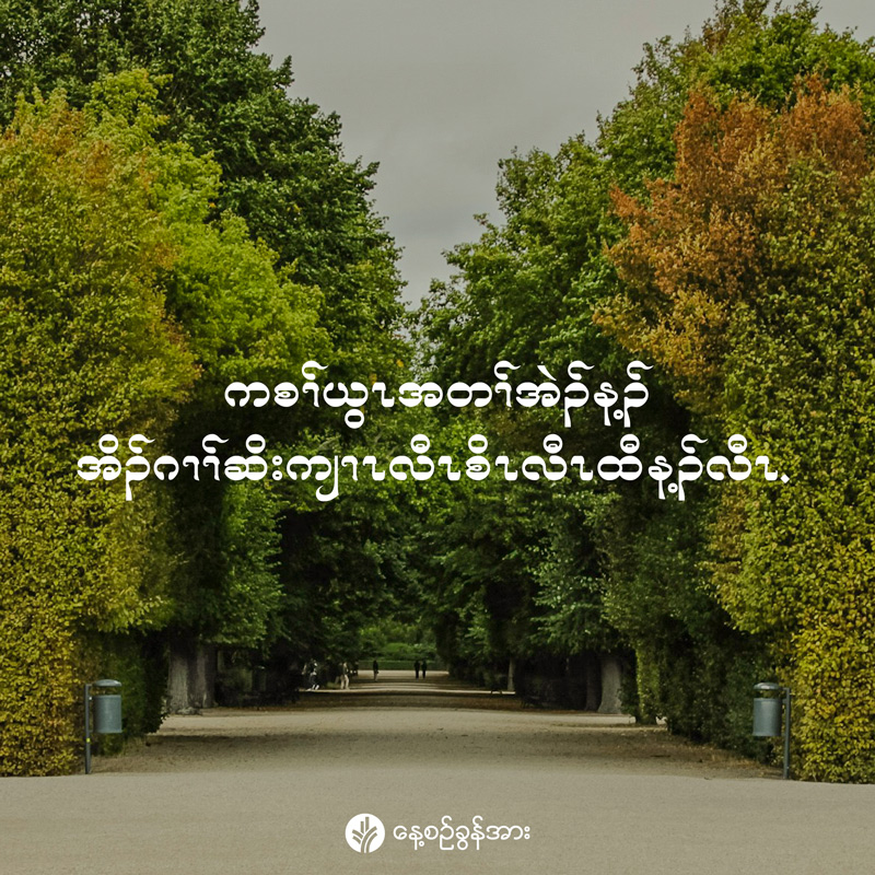 share_odb_2026-02-14-ky