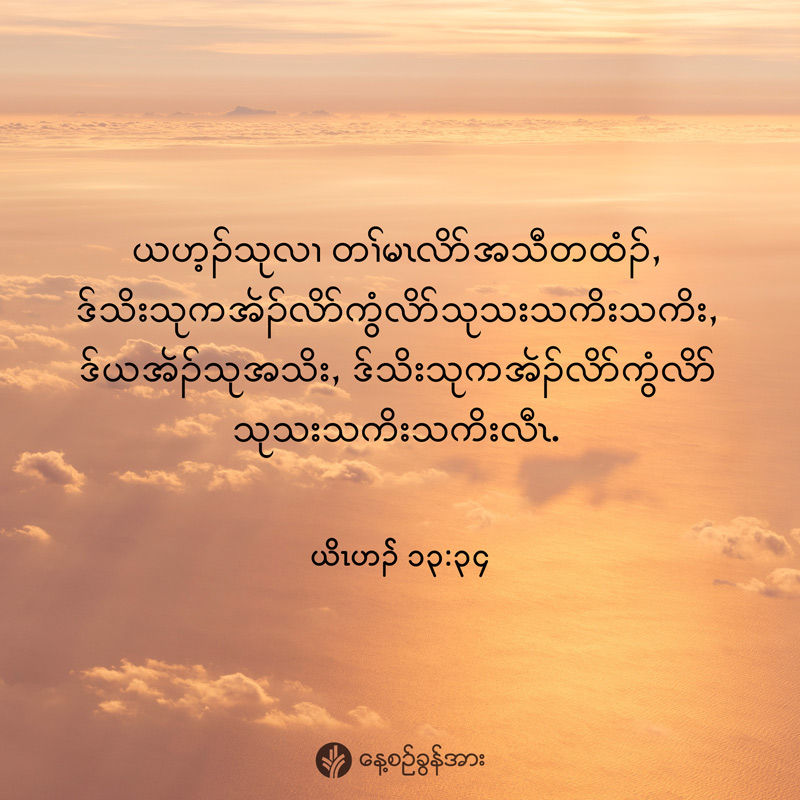 share_odb_2026-02-15-ky