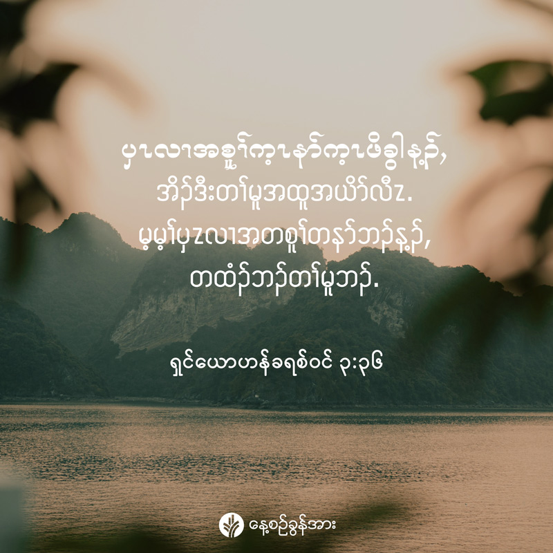 share_odb_2026-02-17-ky