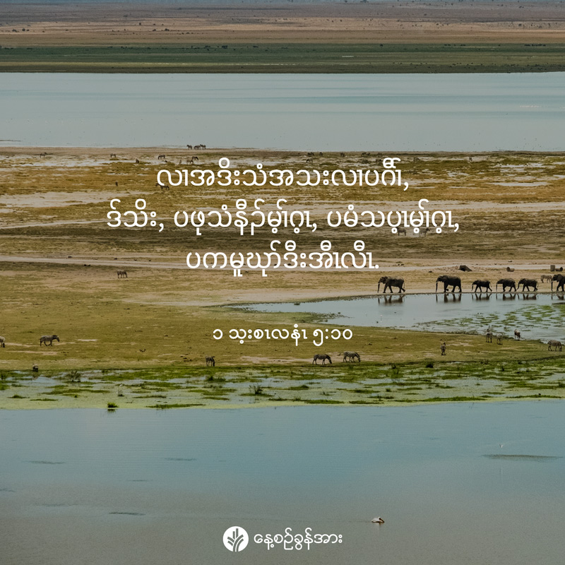 share_odb_2026-02-20-ky share_odb_2026-02-20-ky