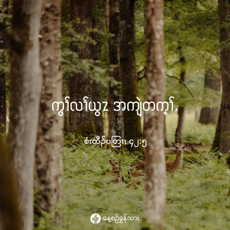 share_odb_2026-02-21-ky share_odb_2026-02-21-ky