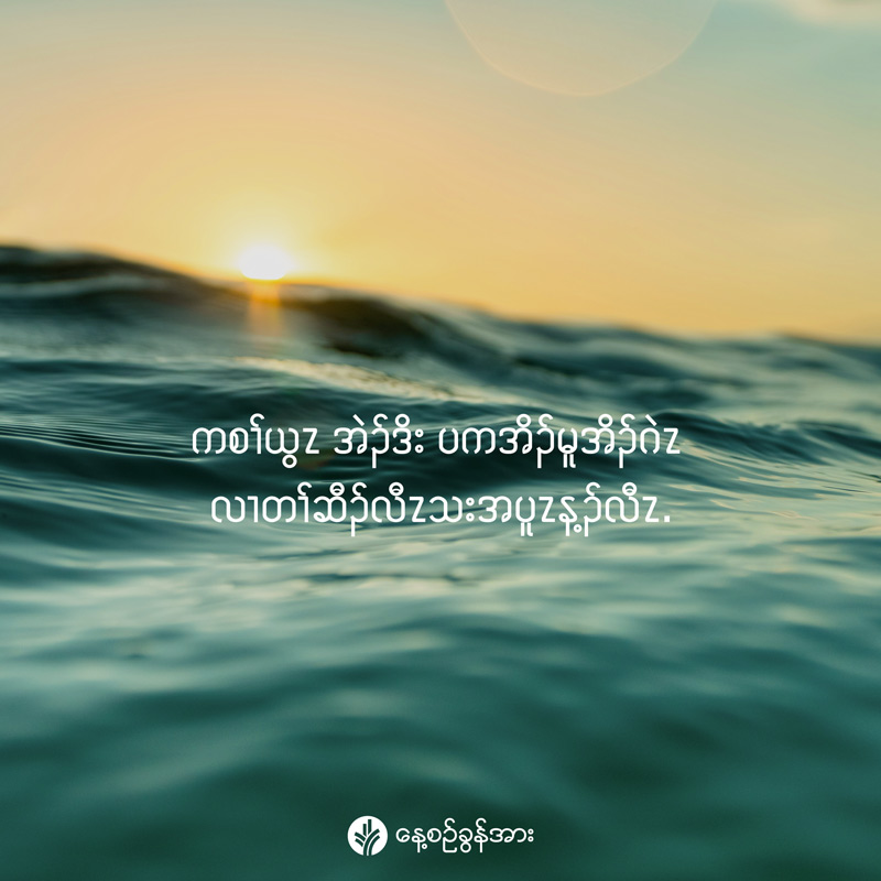 share_odb_2026-02-23-ky