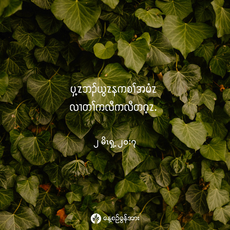 share_odb_2026-02-25-ky share_odb_2026-02-25-ky