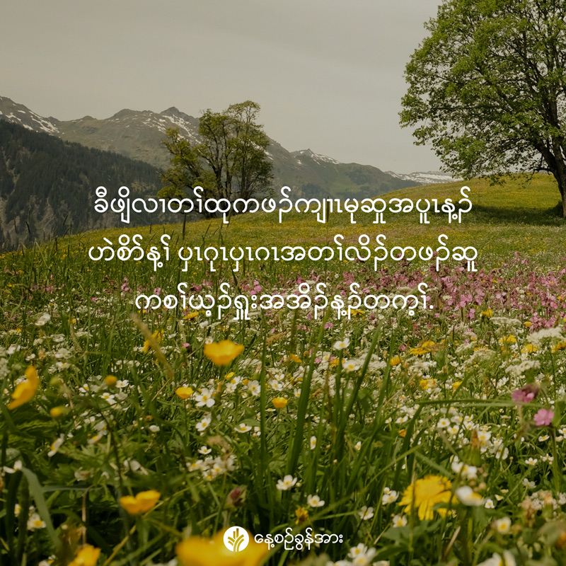 share_odb_2026-02-28-ky