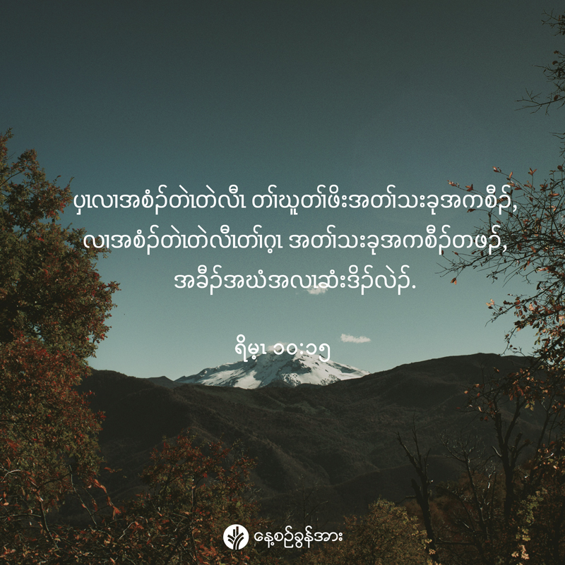 share_odb_2026-03-01-ky