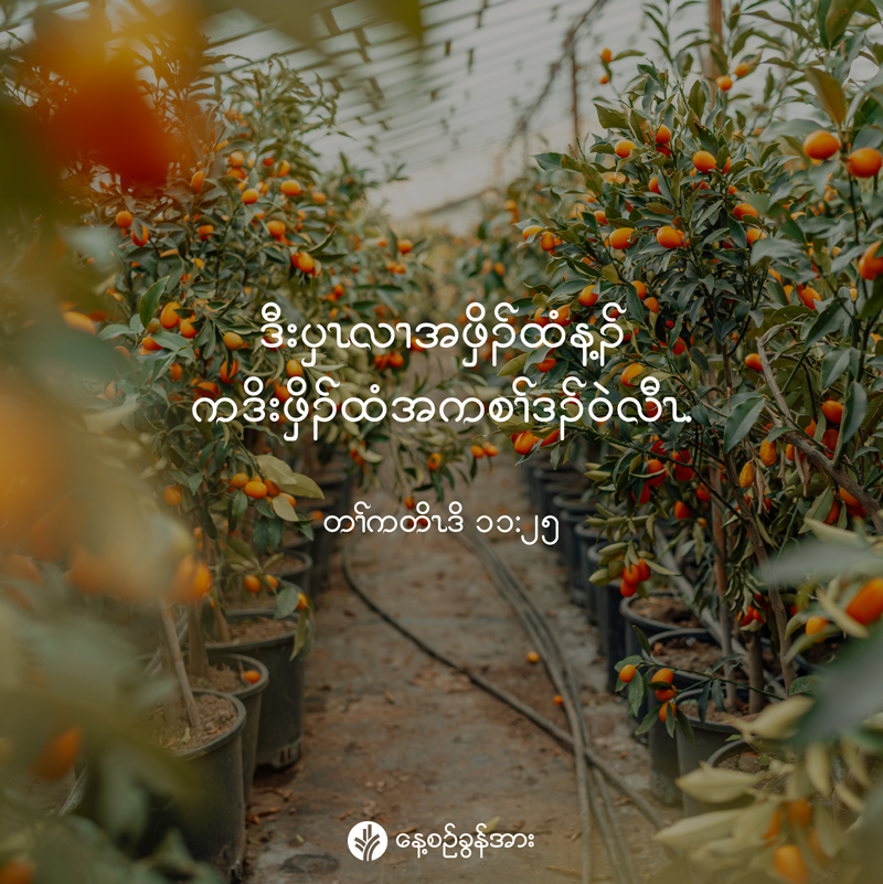 share_odb_2026-03-02-ky