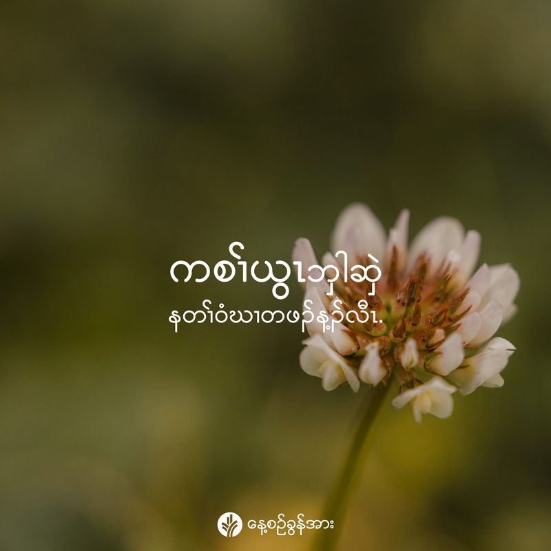 share_odb_2026-03-21-ky