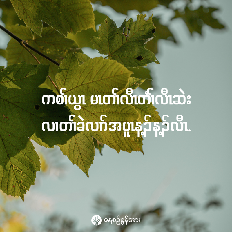 share_odb_2026-03-27-ky share_odb_2026-03-27-ky