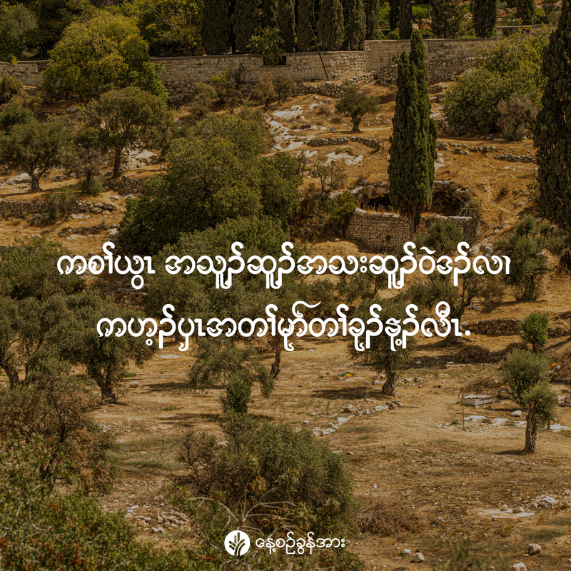 share_odb_2026-03-29-ky share_odb_2026-03-29-ky