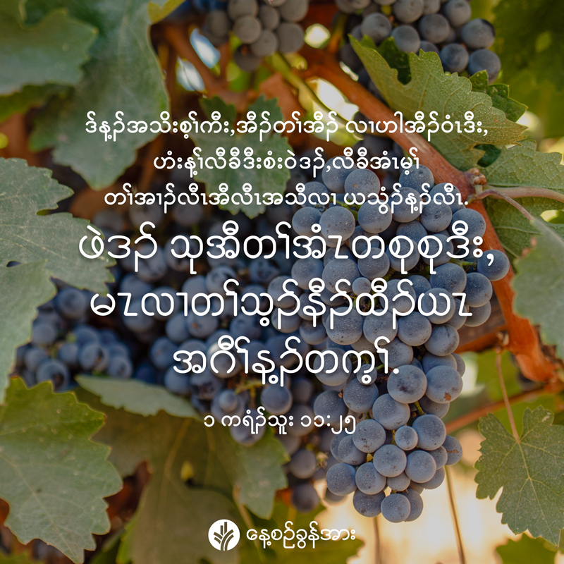 share_odb_2026-04-02-ky