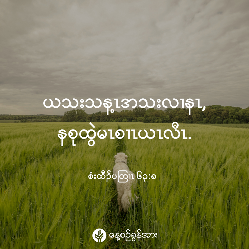 share_odb_2026-04-11-ky