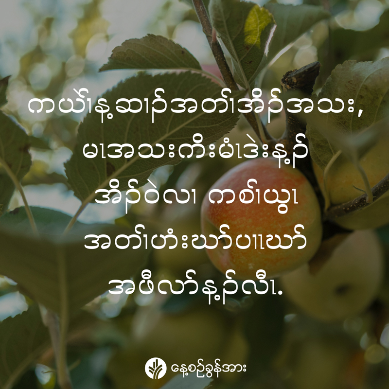 share_odb_2026-04-14-ky