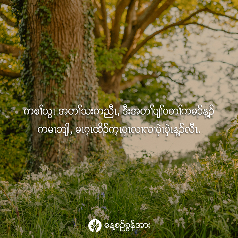 share_odb_2026-04-19-ky