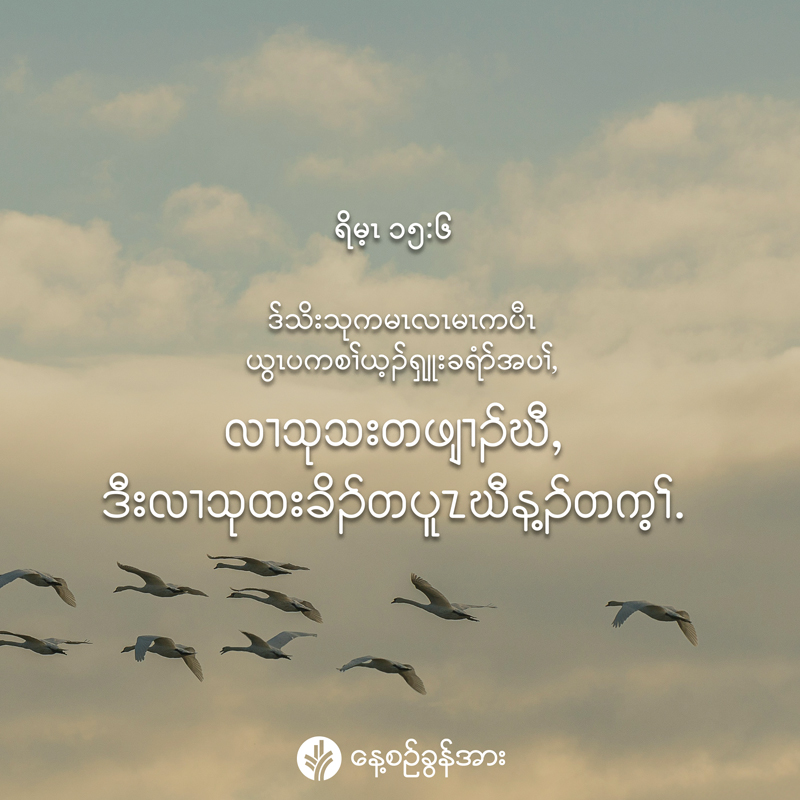 share_odb_2026-04-23-ky