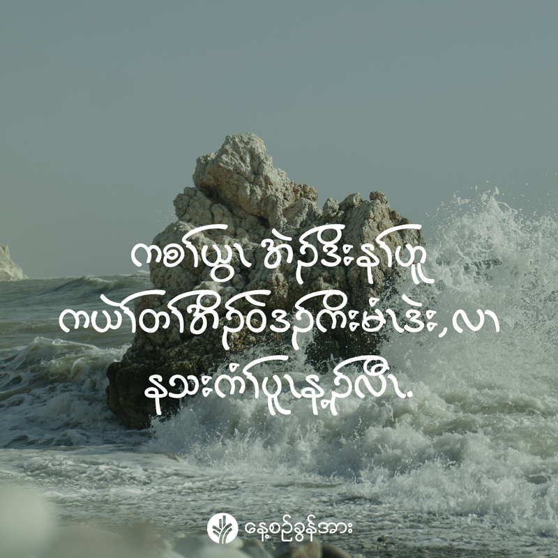 share_odb_2026-04-29-ky