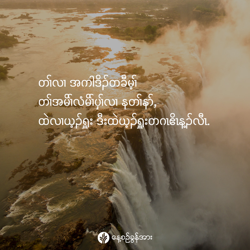 share_odb_2026-05-06-ky