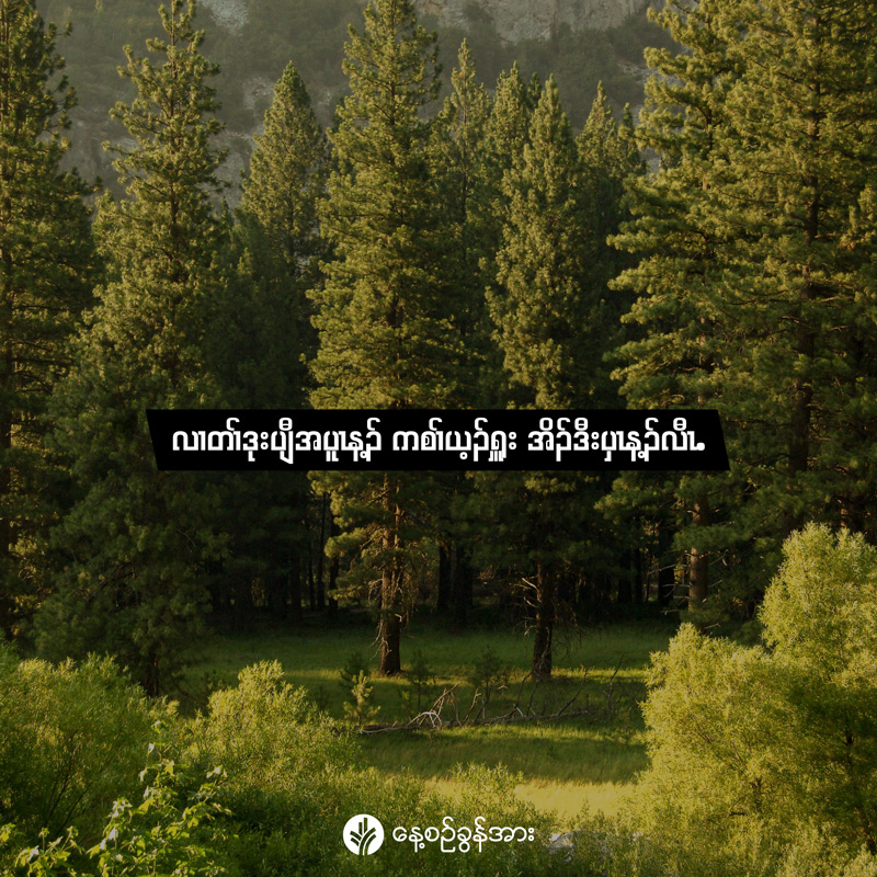share_odb_2026-05-09-ky