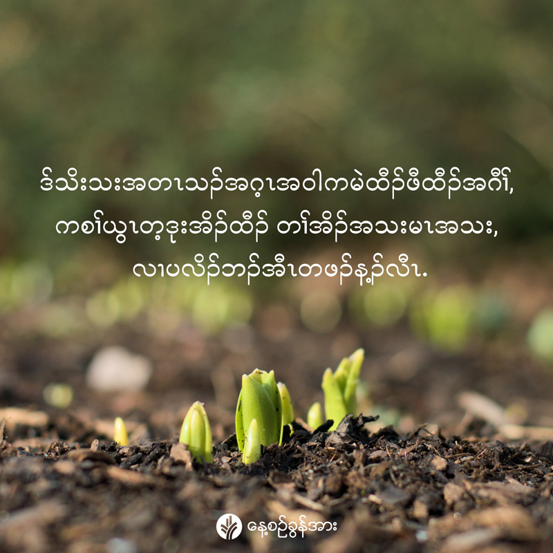 share_odb_2026-05-14-ky