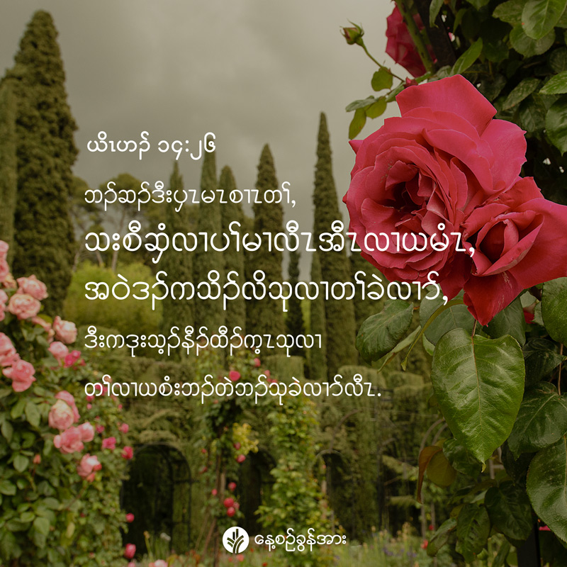 share_odb_2026-05-24-ky