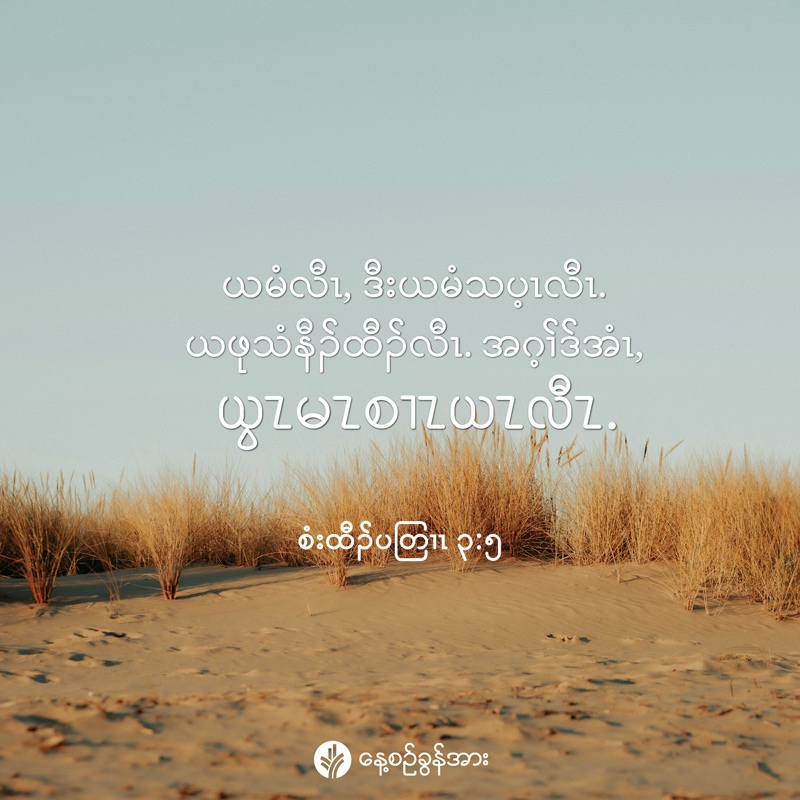 share_odb_2026-05-25-ky
