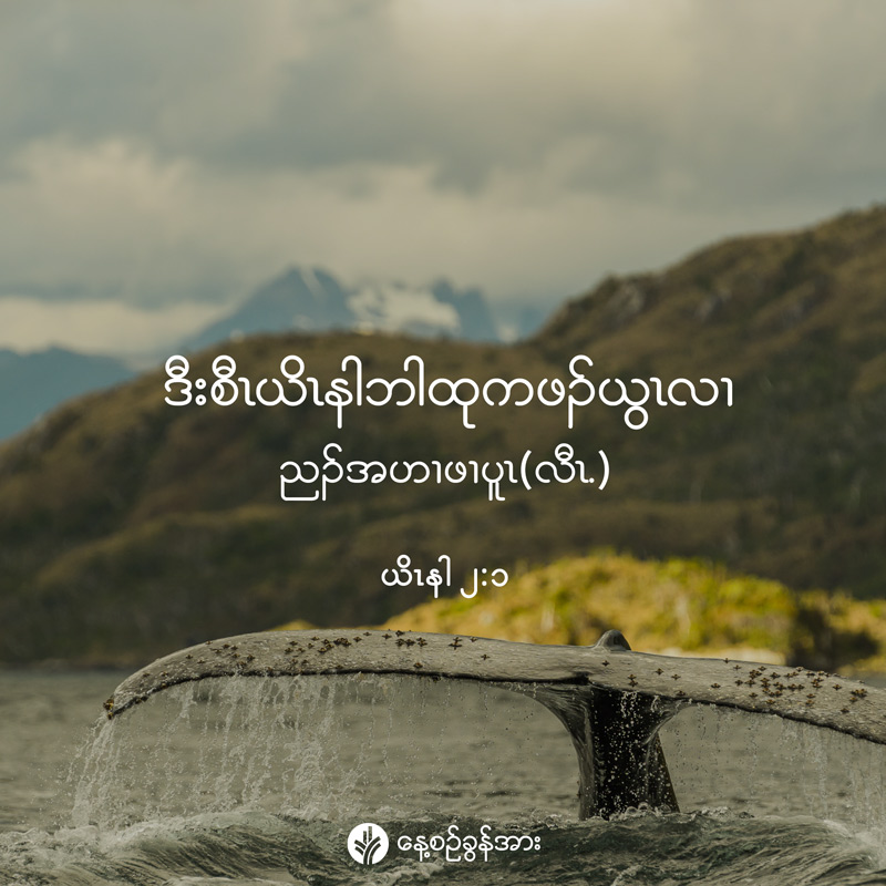 share_odb_2026-06-05-ky
