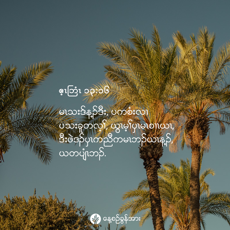 share_odb_2026-06-08-ky