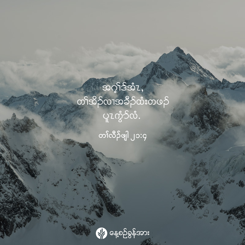 share_odb_2026-06-10-ky