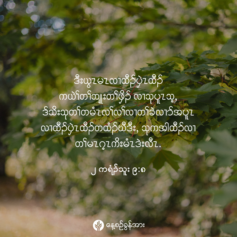 share_odb_2026-06-15-ky