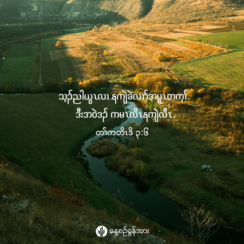 share_odb_2026-06-19-ky