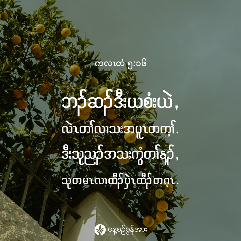 share_odb_2026-06-20-ky