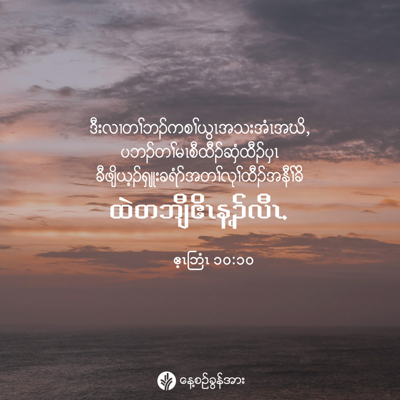 share_odb_2026-06-29-ky