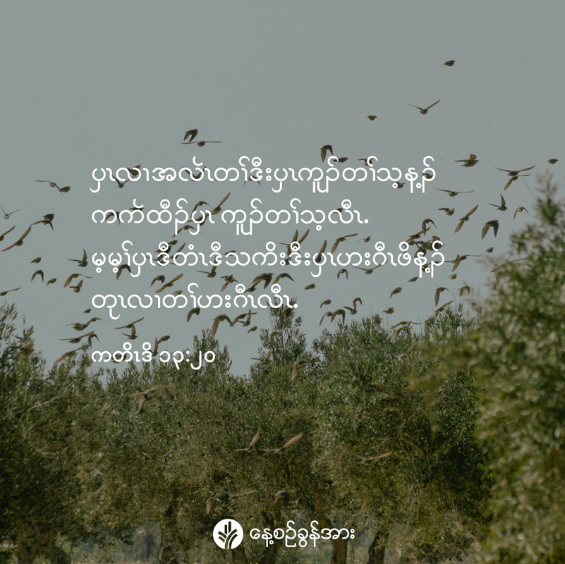 share_odb_2026-07-29-ky