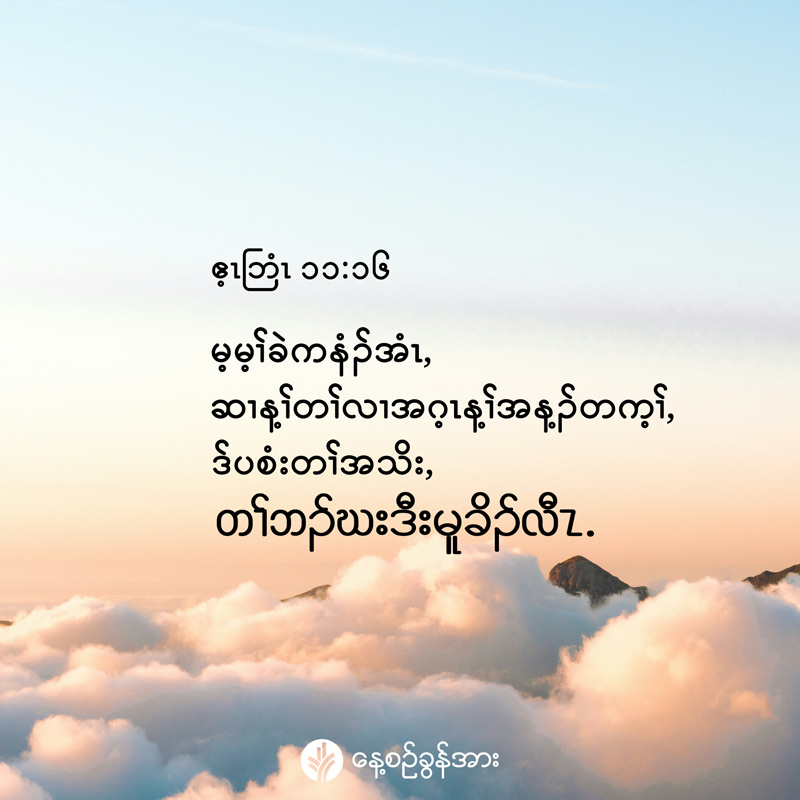 share_odb_2026-08-01-ky