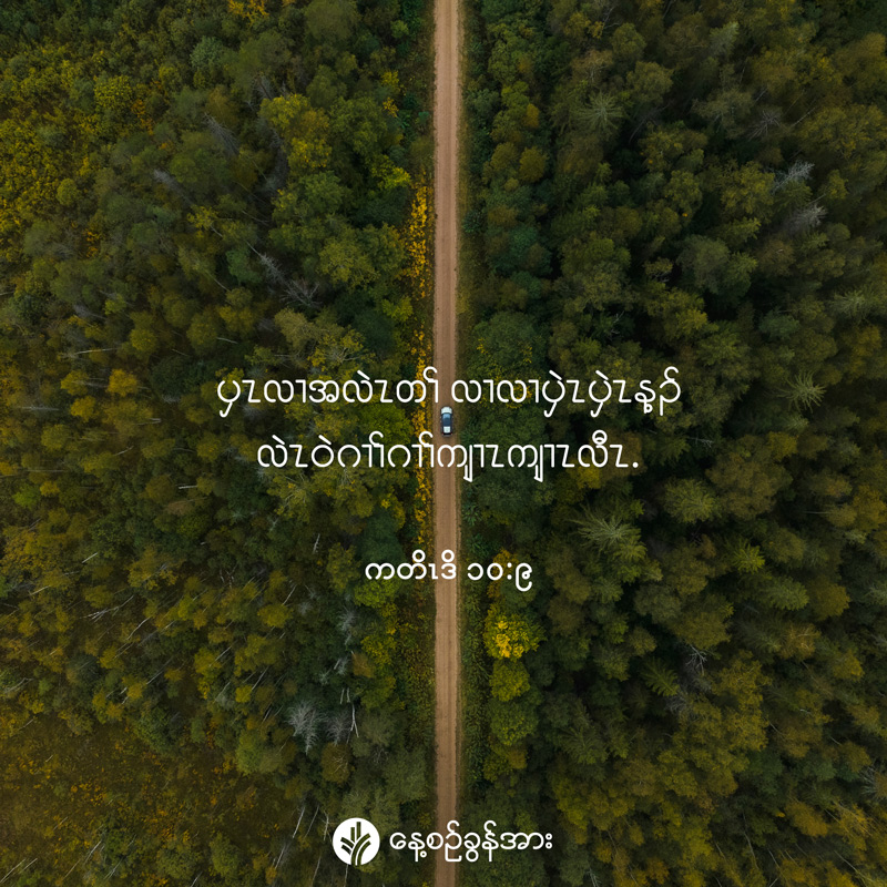 share_odb_2026-08-02-ky