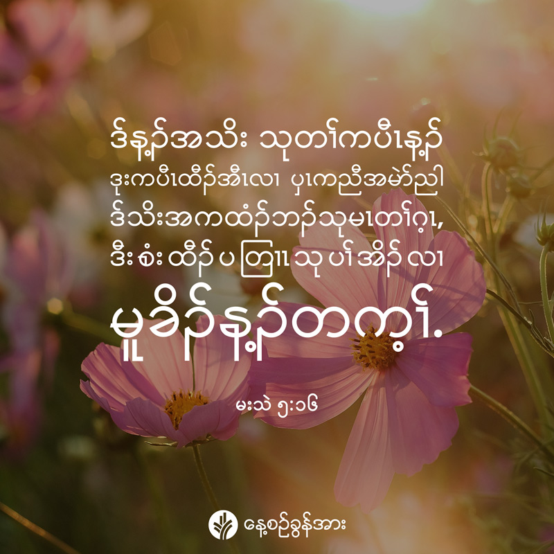 share_odb_2026-08-20-ky