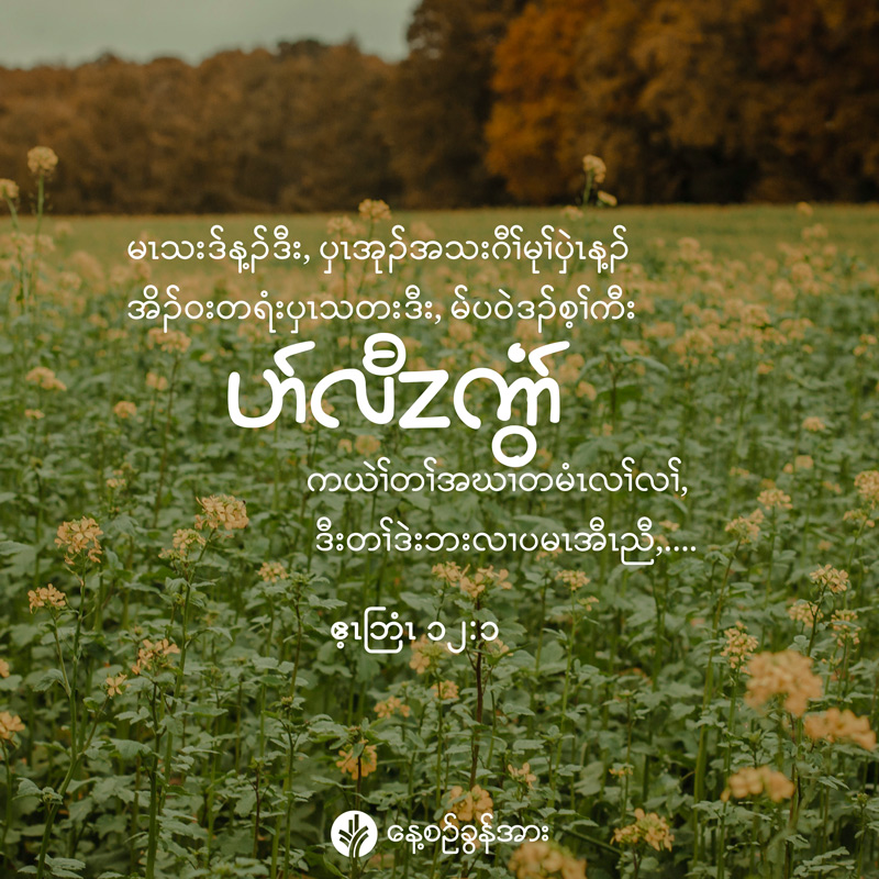 share_odb_2026-09-04-ky