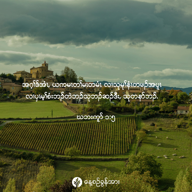 share_odb_2026-09-05-ky