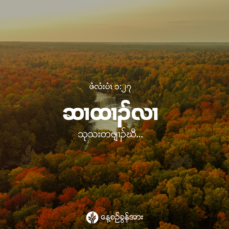 share_odb_2026-09-08-ky