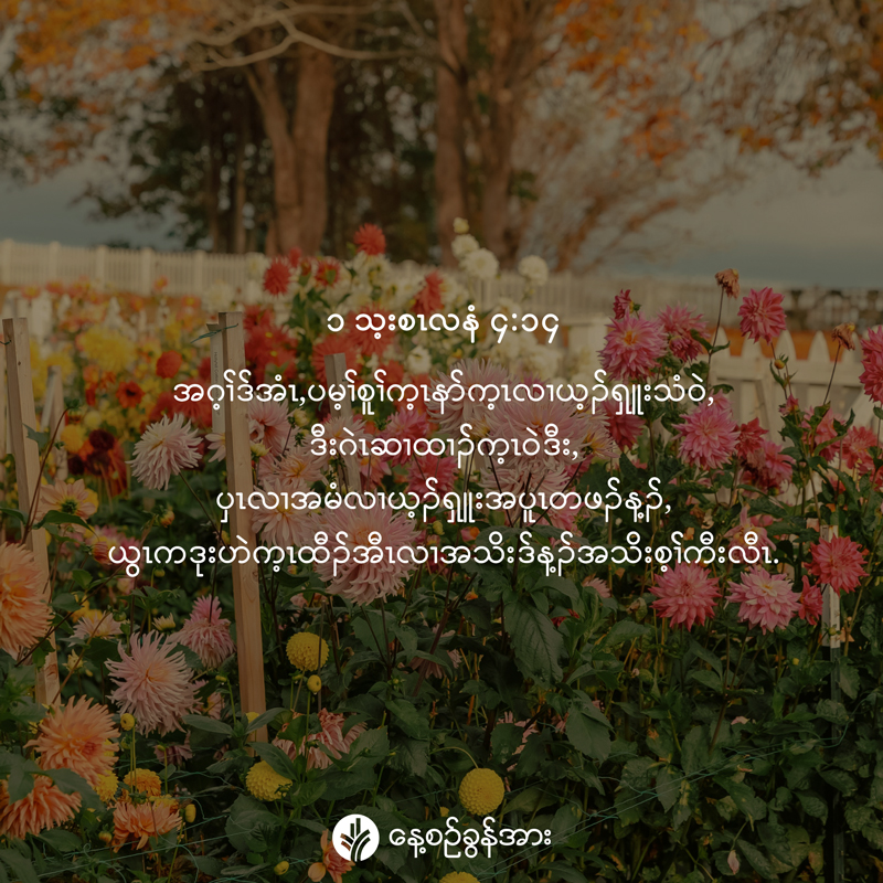 share_odb_2026-09-23-ky