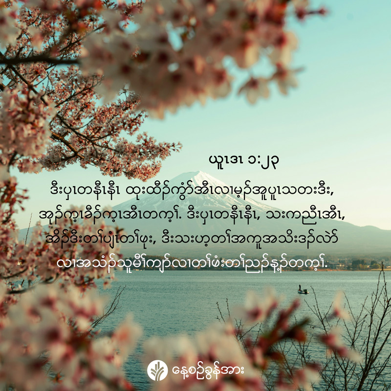 share_odb_2026-09-06-ky