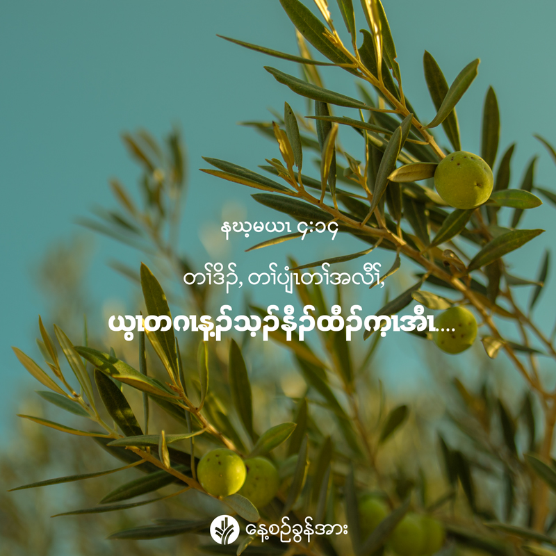 share_odb_2026-09-17-ky